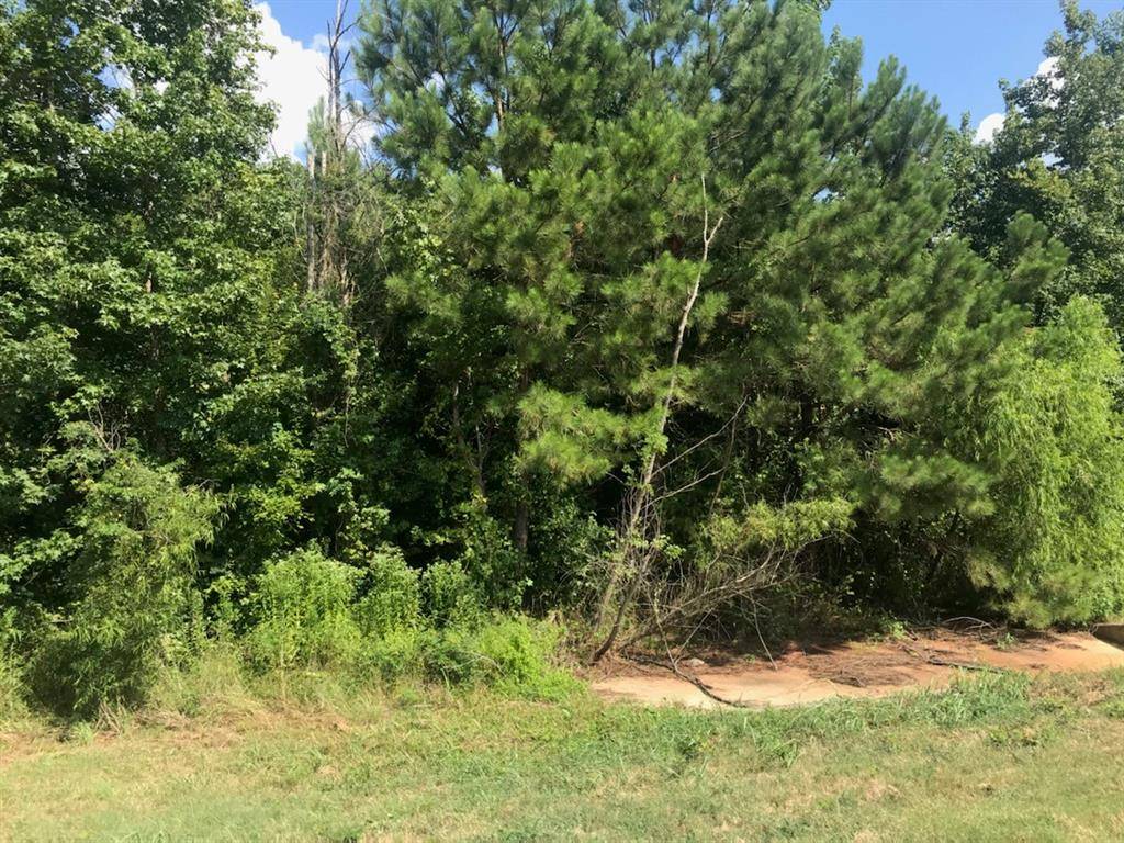 TBD S Hwy 59 Highway, Linden, TX 75563