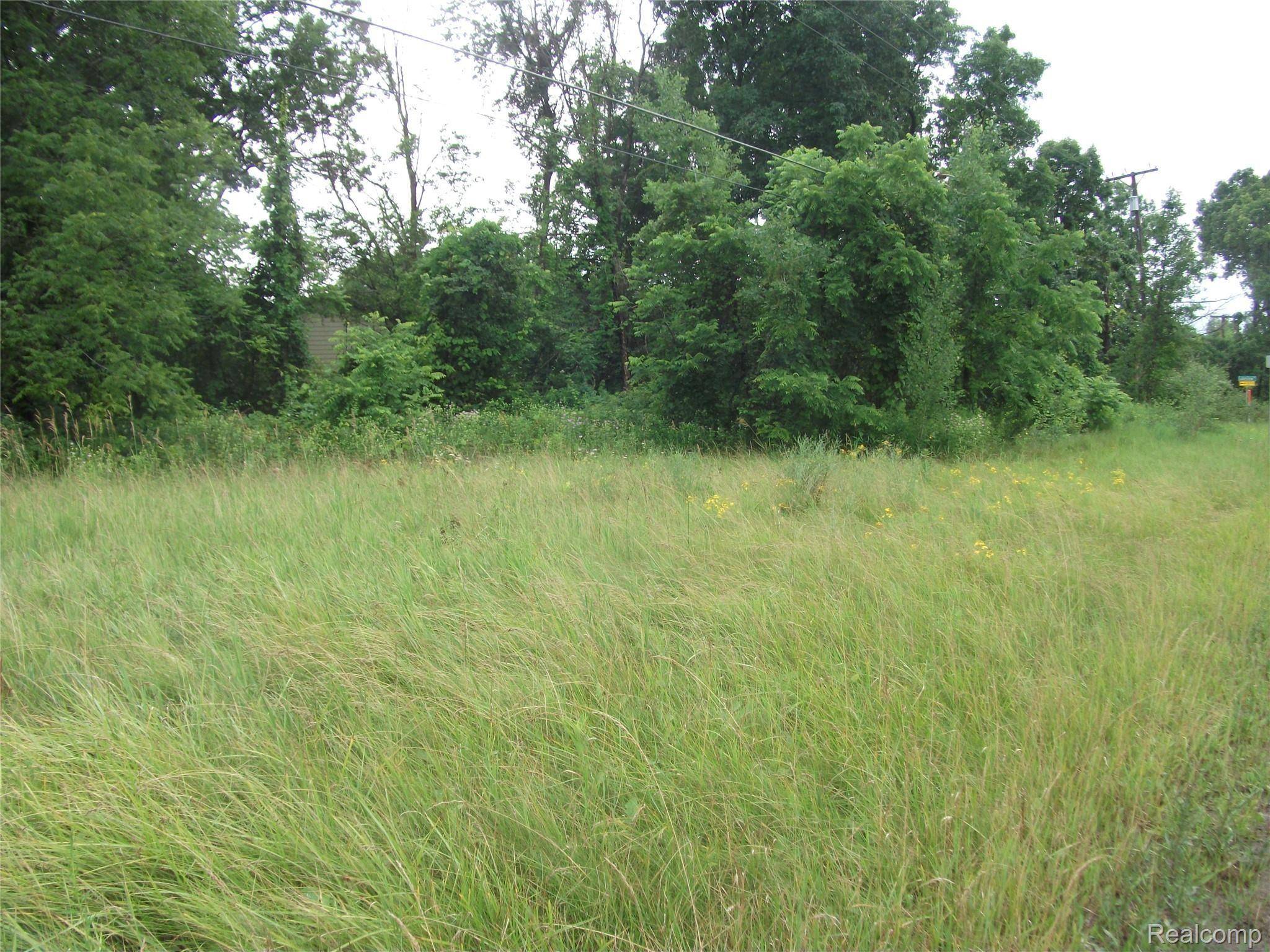 0000 SEYMOUR LAKE DR, Brandon Twp, MI 48462