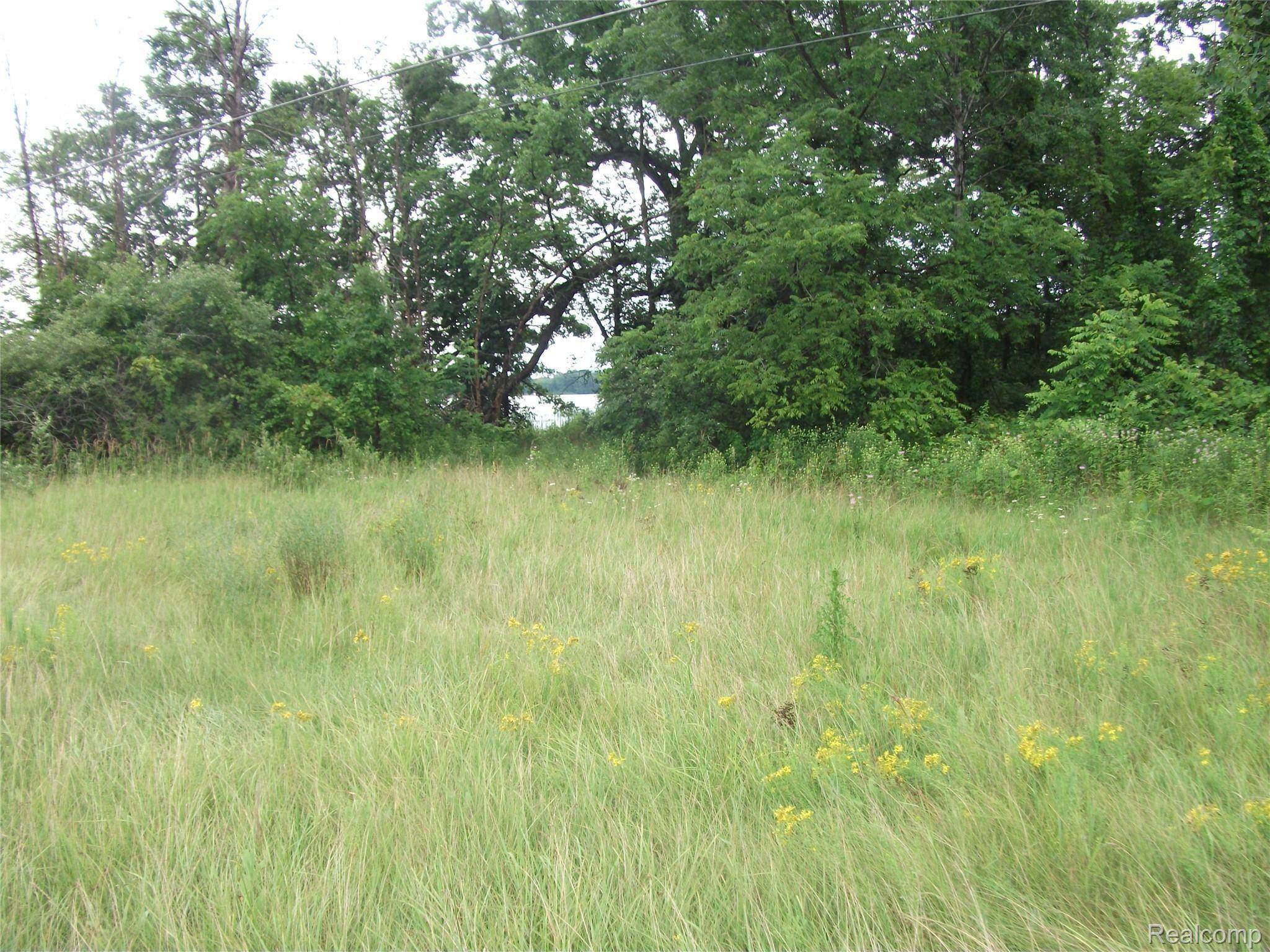 0000 SEYMOUR LAKE DR, Brandon Twp, MI 48462