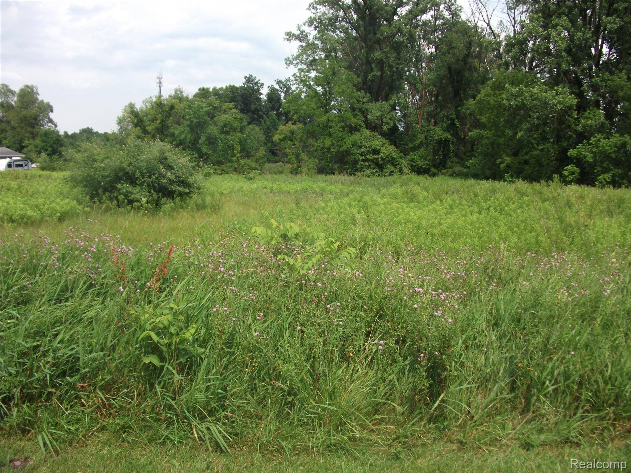 0000 SEYMOUR LAKE DR, Brandon Twp, MI 48462