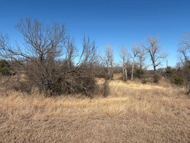 Springtown, TX 76082,Lot 34 Eagles Way