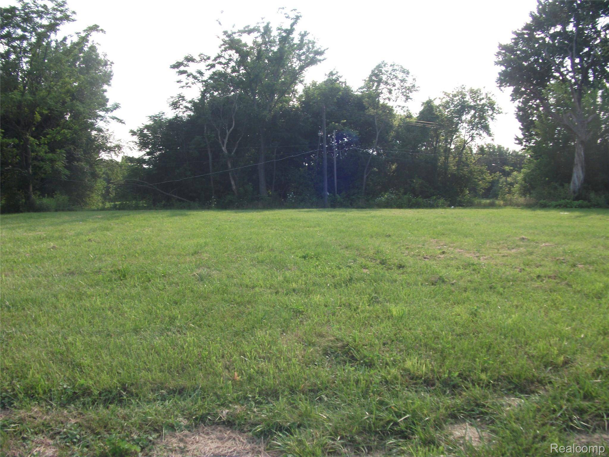 Detroit, MI 48215,1131 NEWPORT