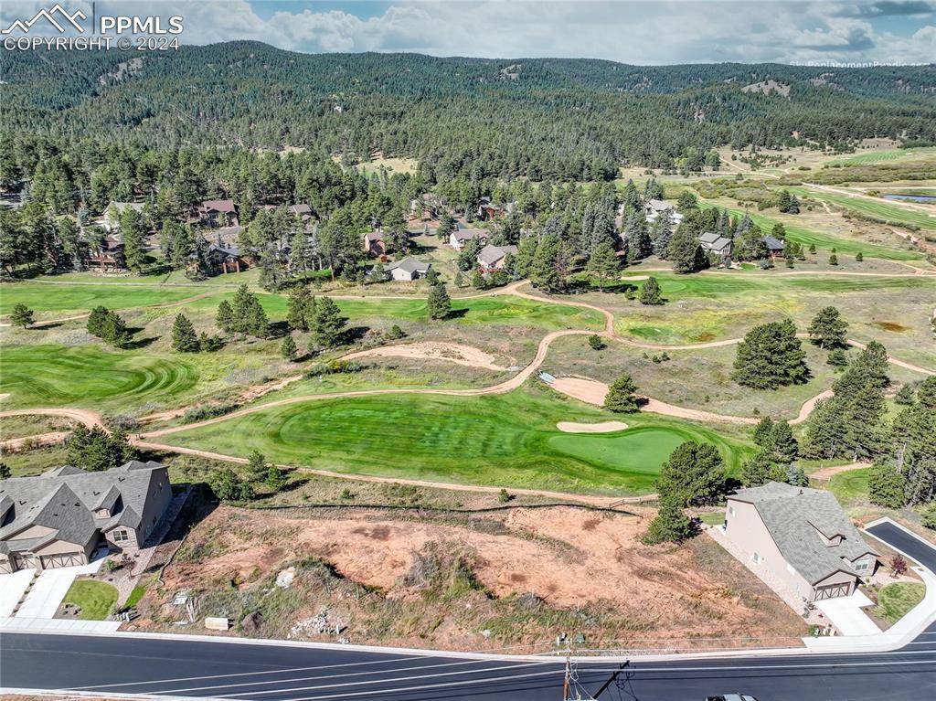 Woodland Park, CO 80863,Longs PT