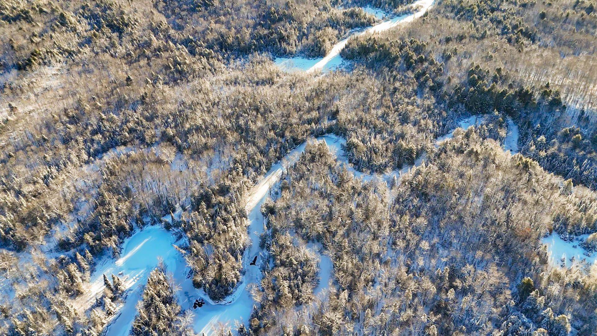 North Kawartha, ON K0L 1A0,PT LT 3 Concession 6 N/A