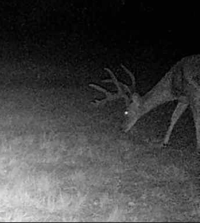 Cisco, TX 76437,5860 County Road 423