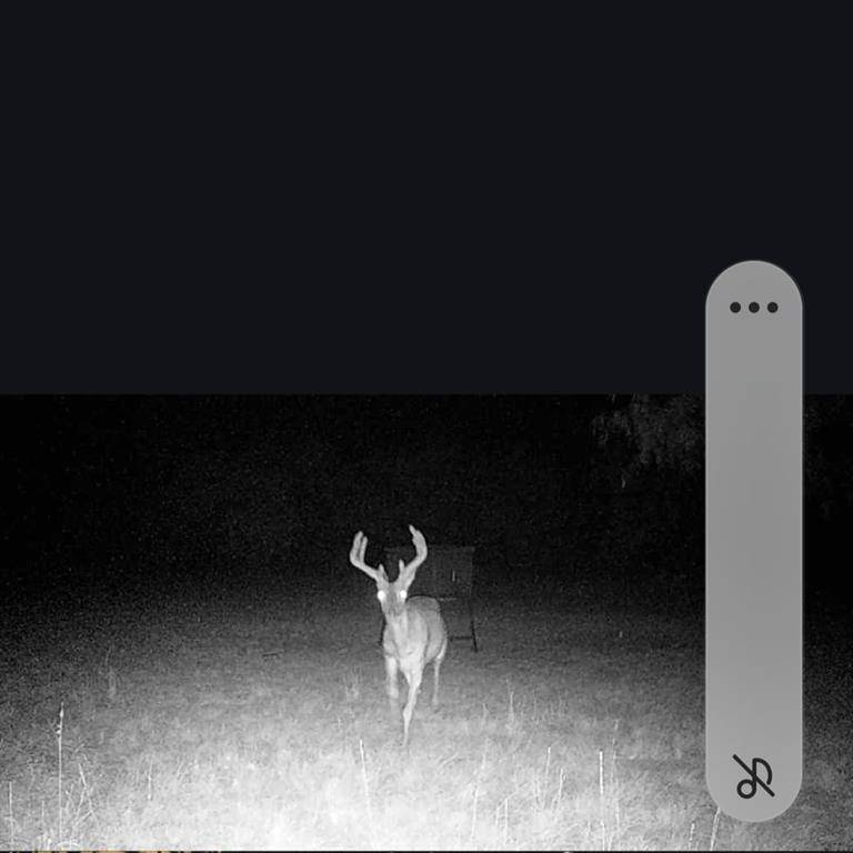 Cisco, TX 76437,5860 County Road 423