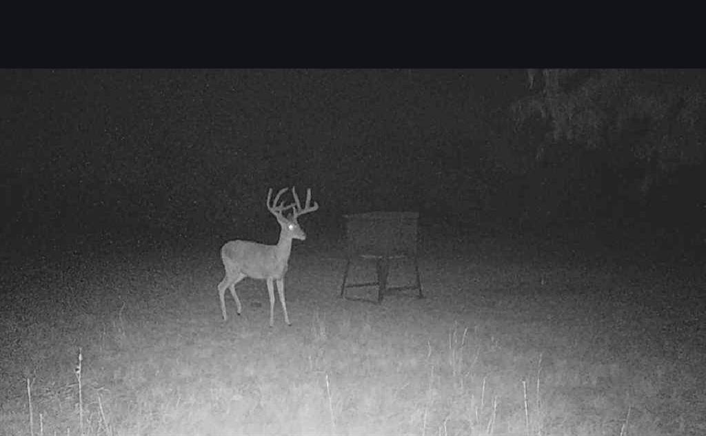 Cisco, TX 76437,5860 County Road 423