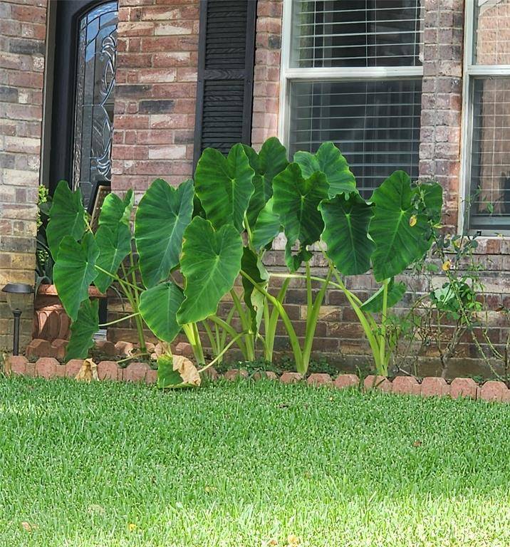 Haltom City, TX 76137,5325 Chessie Circle