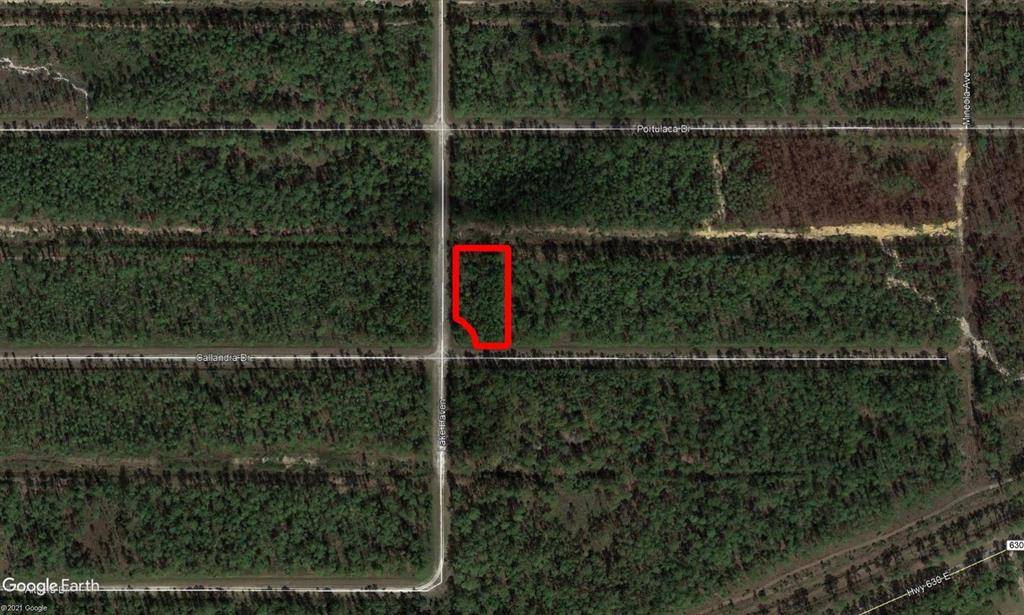 Indian Lake Estates, FL 33855,0 Calliandra Dr