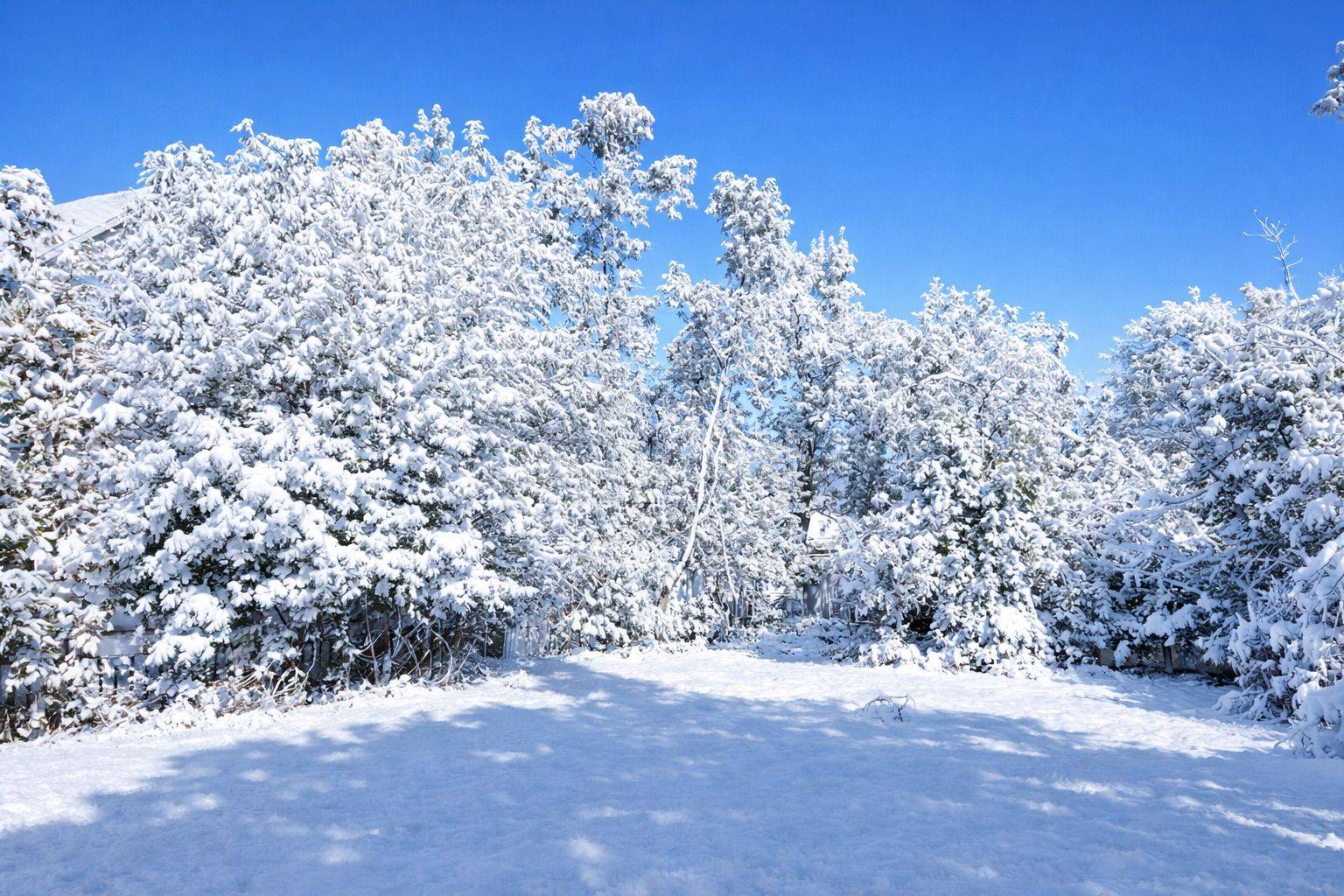 Orillia, ON L3V 3E6,246 Mary ST