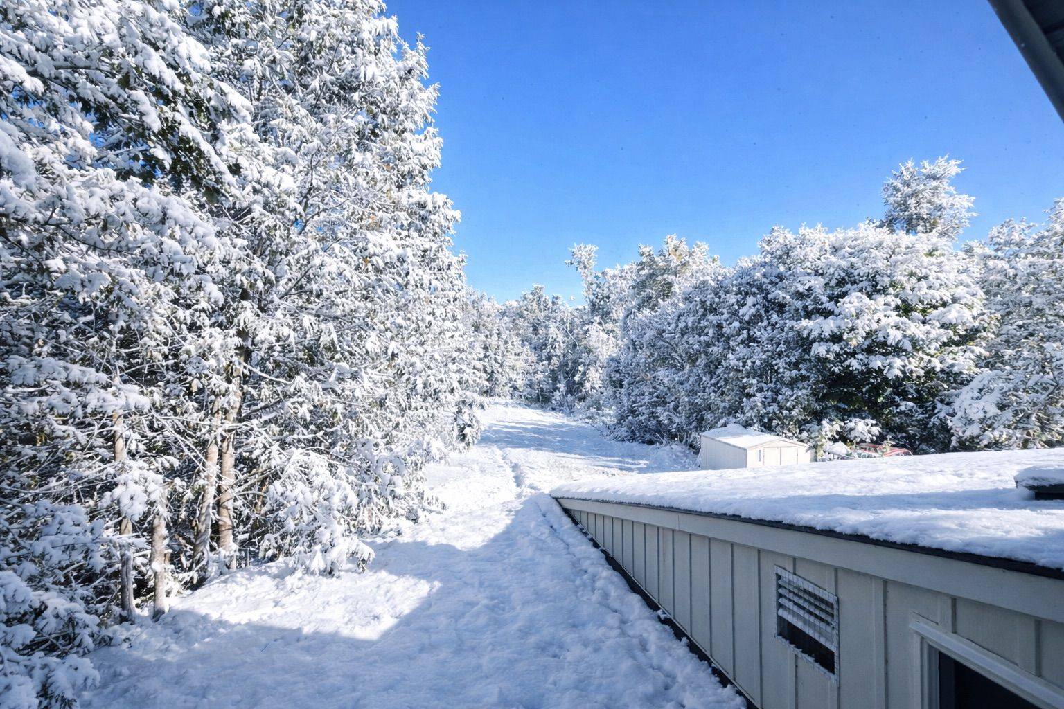 Orillia, ON L3V 3E6,246 Mary ST