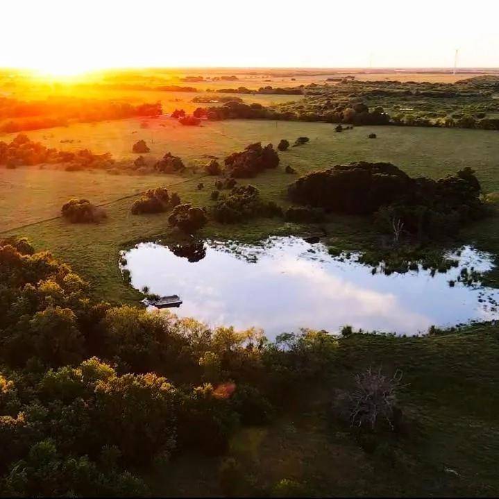 Dawson, TX 76639,TBD SW  CR 2250