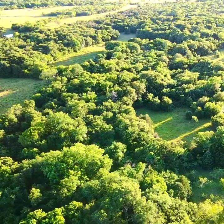 Dawson, TX 76639,TBD SW  CR 2250