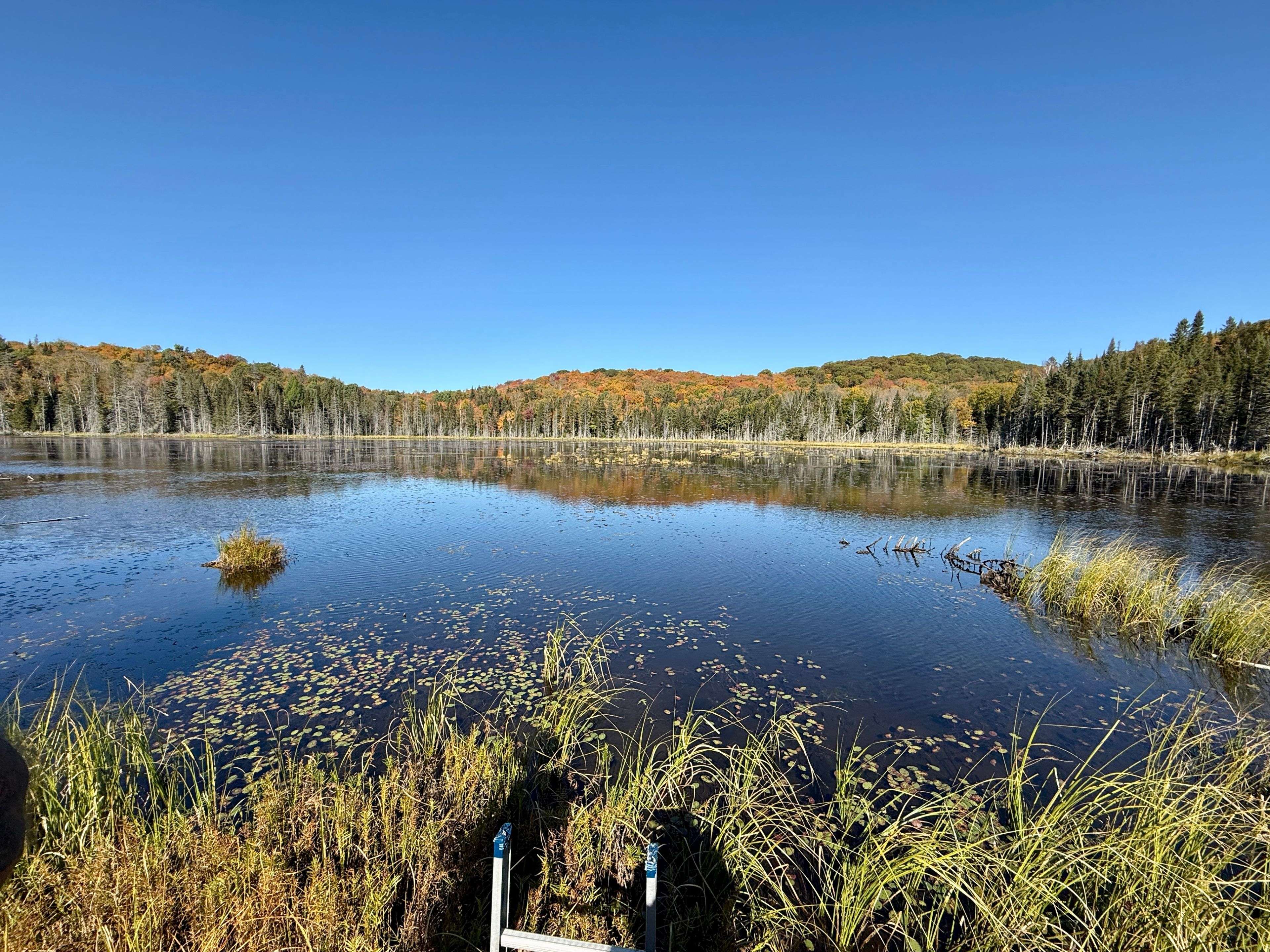 Kearney, ON P0A 1M0,4641 518 E HWY