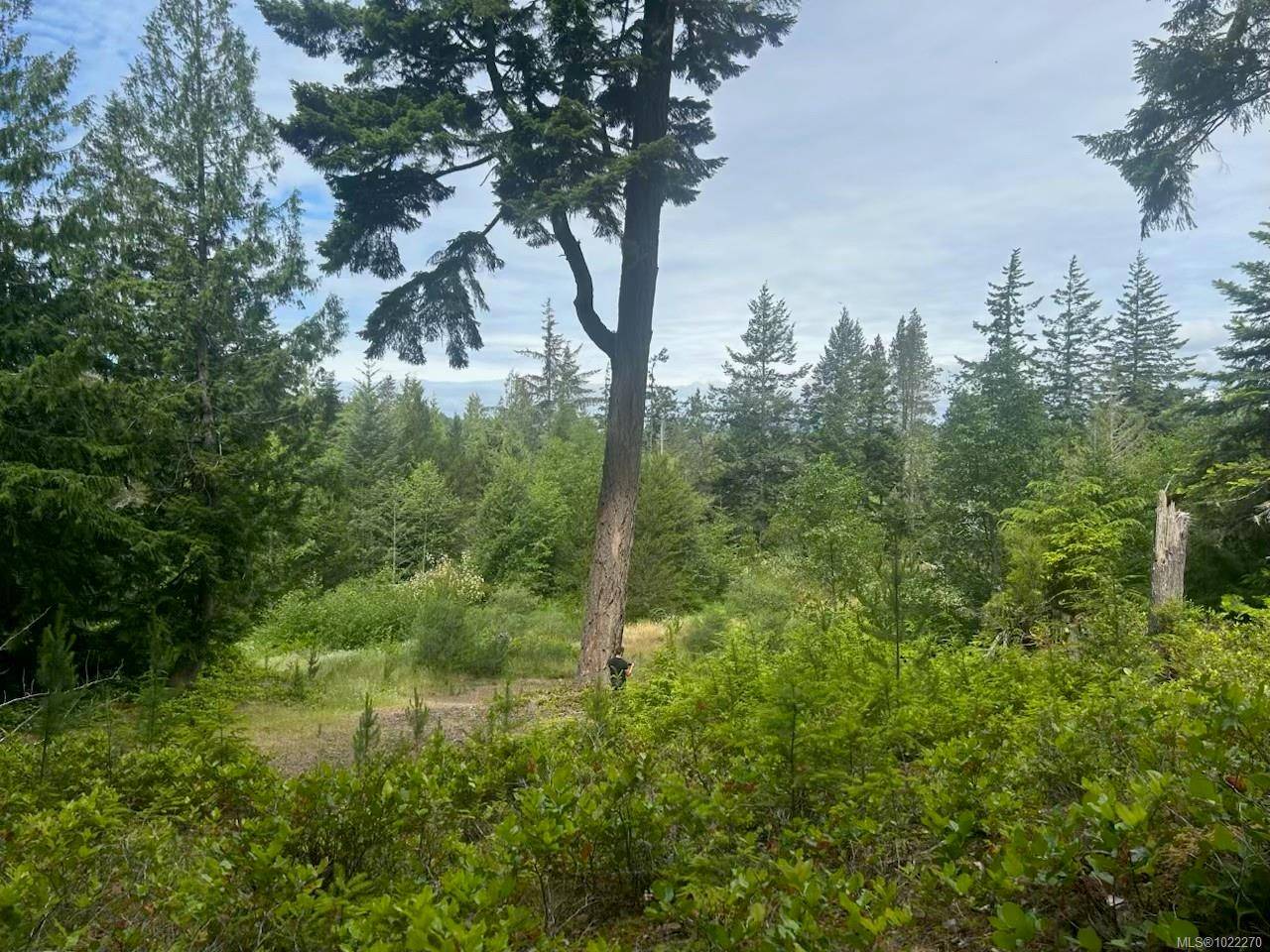 Sooke, BC V9Z 1B5,892 Parkheights Rd