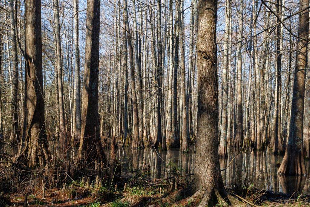 Marshall, TX 75672,TBD Hwy 59