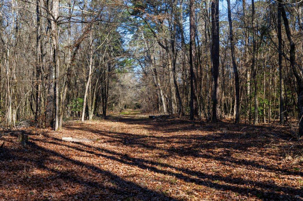 Marshall, TX 75672,TBD Hwy 59