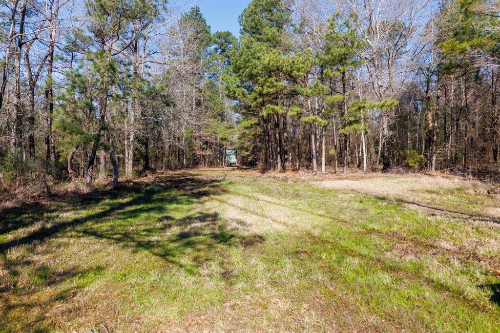 Marshall, TX 75672,TBD Hwy 59