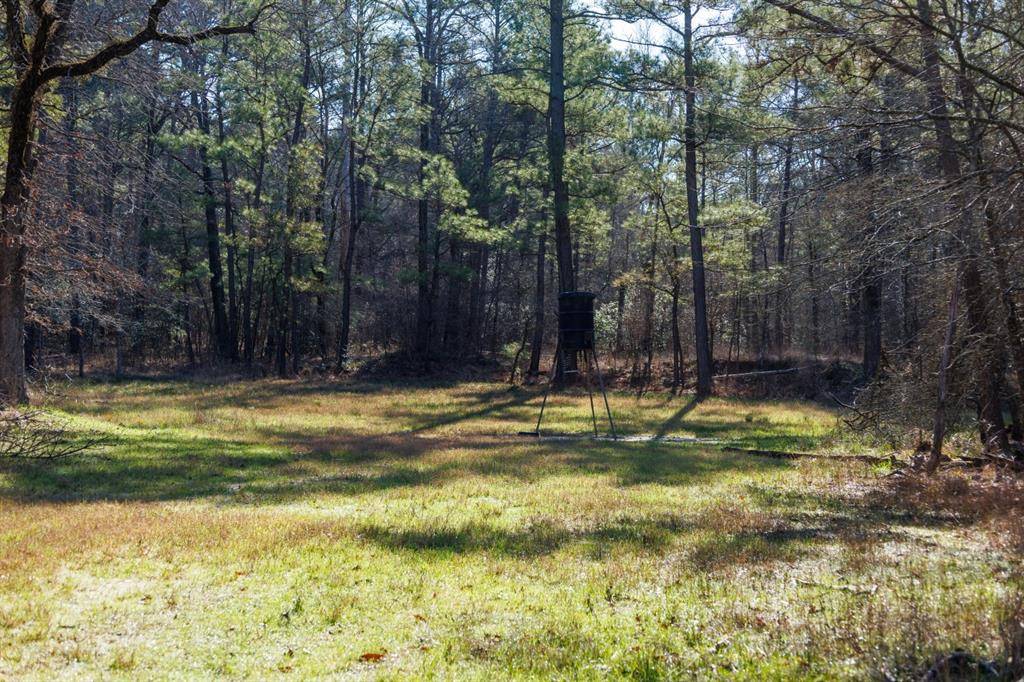 Marshall, TX 75672,TBD Hwy 59