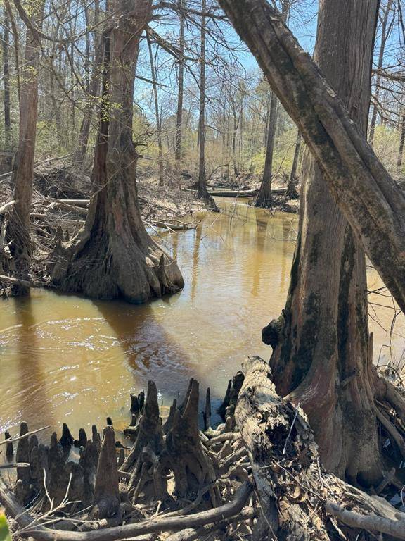 Marshall, TX 75672,TBD East Hwy 59