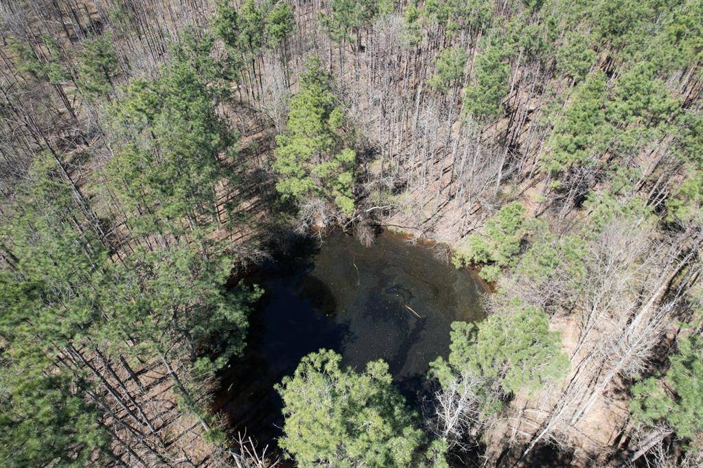 Marshall, TX 75672,TBD Billy Ray Rd