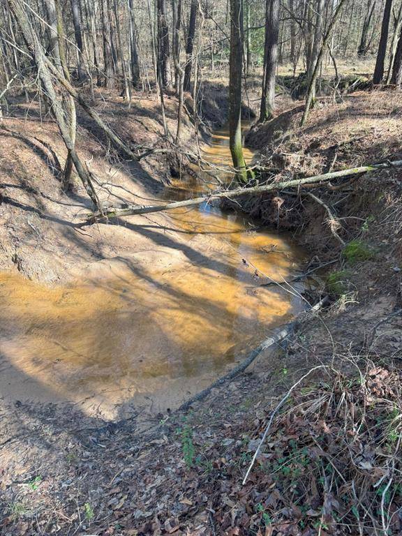 Marshall, TX 75672,TBD Billy Ray Rd