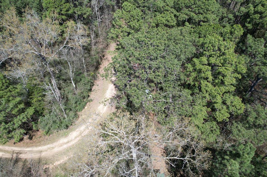 Marshall, TX 75672,TBD Billy Ray Rd