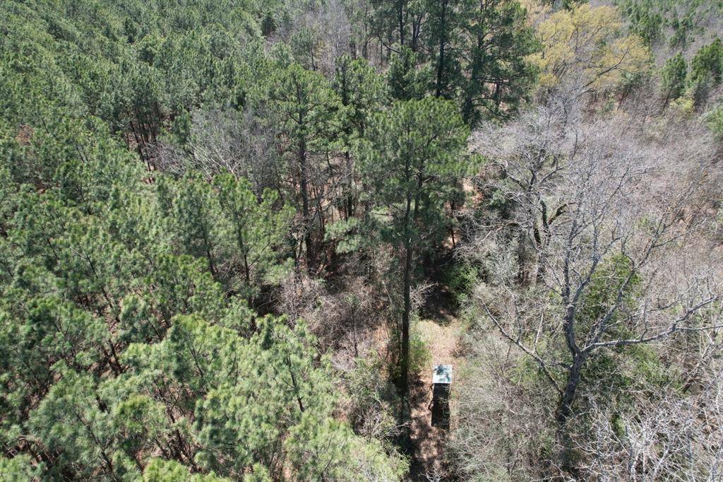 Marshall, TX 75672,TBD Billy Ray Rd