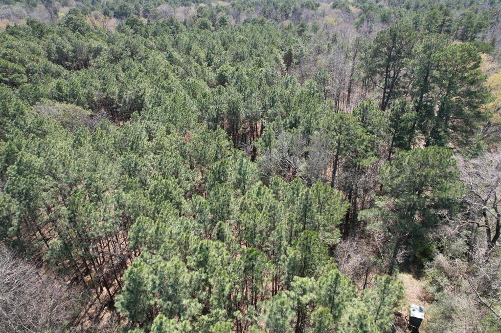 Marshall, TX 75672,TBD Billy Ray Rd