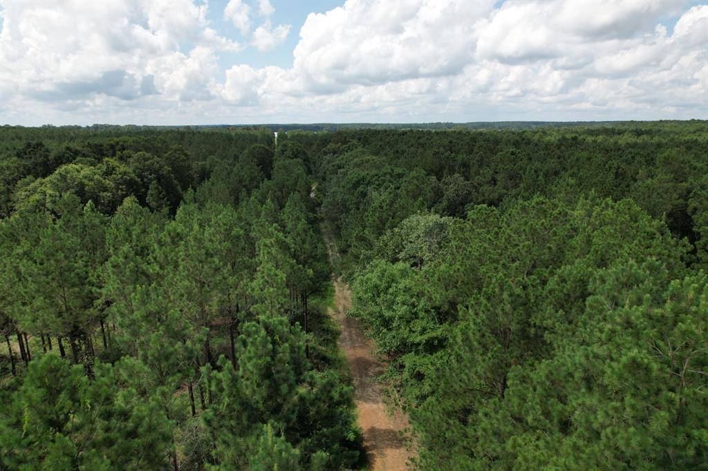 TBD County Road 3706, Tenaha, TX 75974
