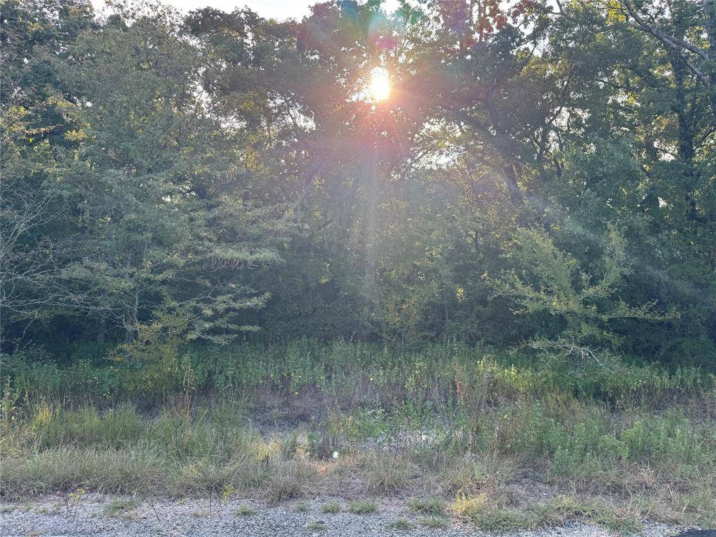 Kemp, TX 75143,0 R And R Circle #Lot 12