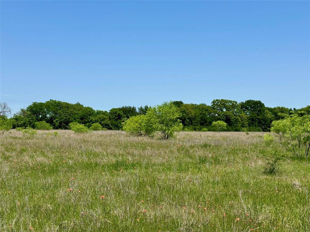Gholson, TX 76705,TBD Clater Powell Road
