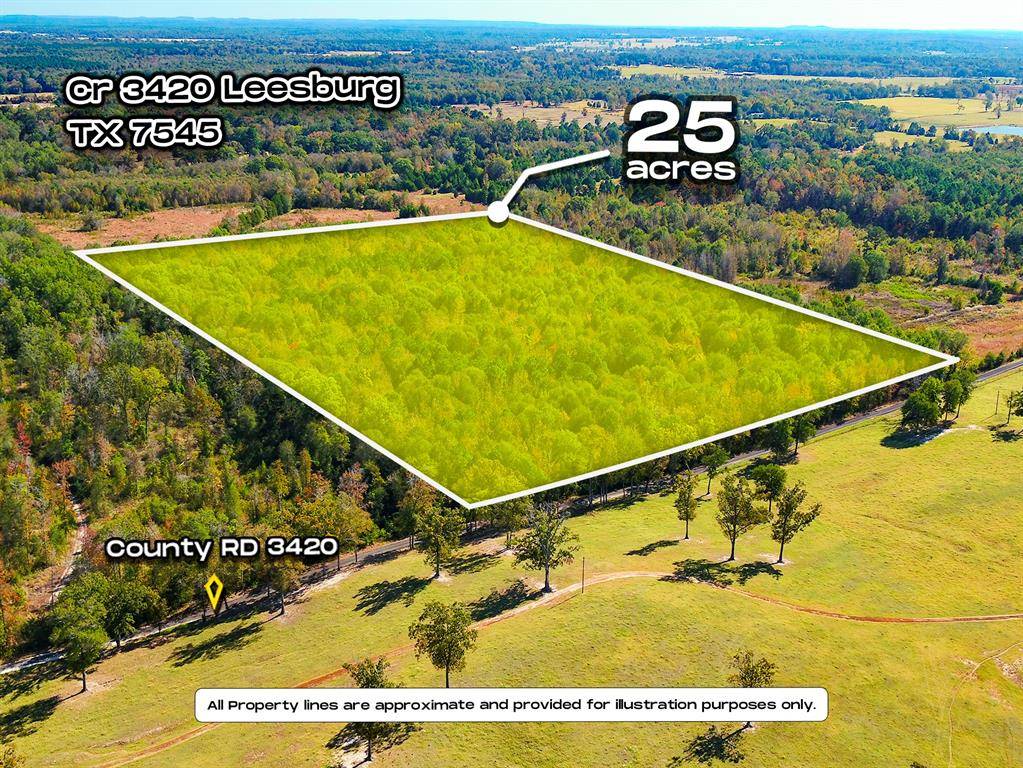 Leesburg, TX 75451,TBD County Road 3420