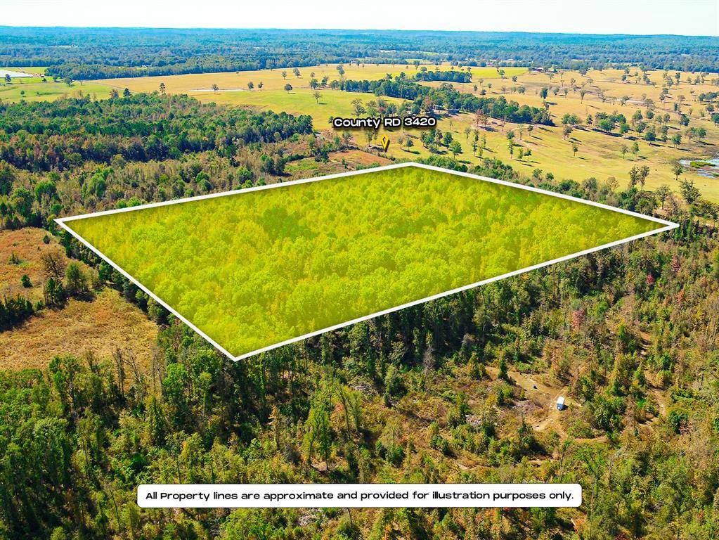 Leesburg, TX 75451,TBD County Road 3420