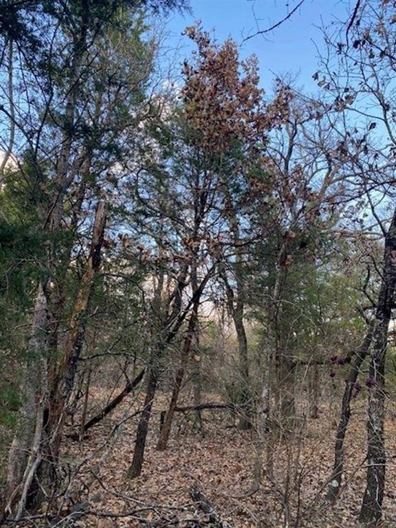 Athens, TX 75751,TBD N CR 1200