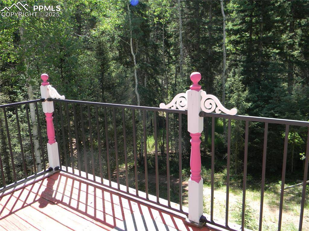 Divide, CO 80814,500 Pinon Lake DR