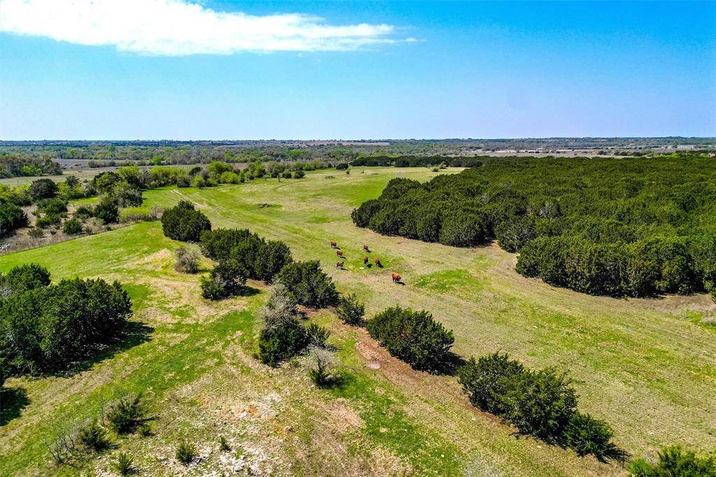 Valley Mills, TX 76689,111+/- ac. 13755 N Lone Star Parkway