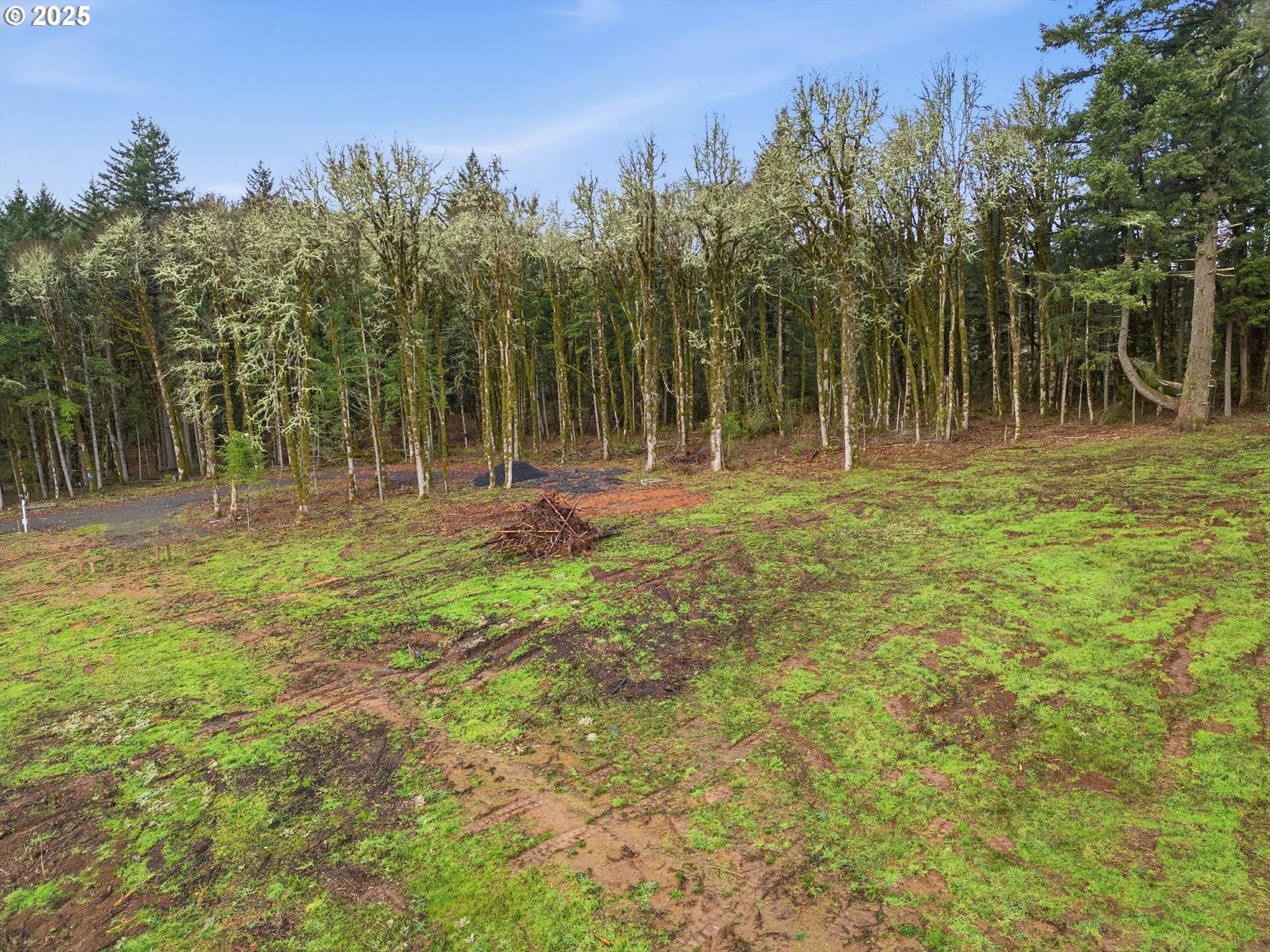 Mc Minnville, OR 97128,0 NW Berry Creek RD #Lot 1