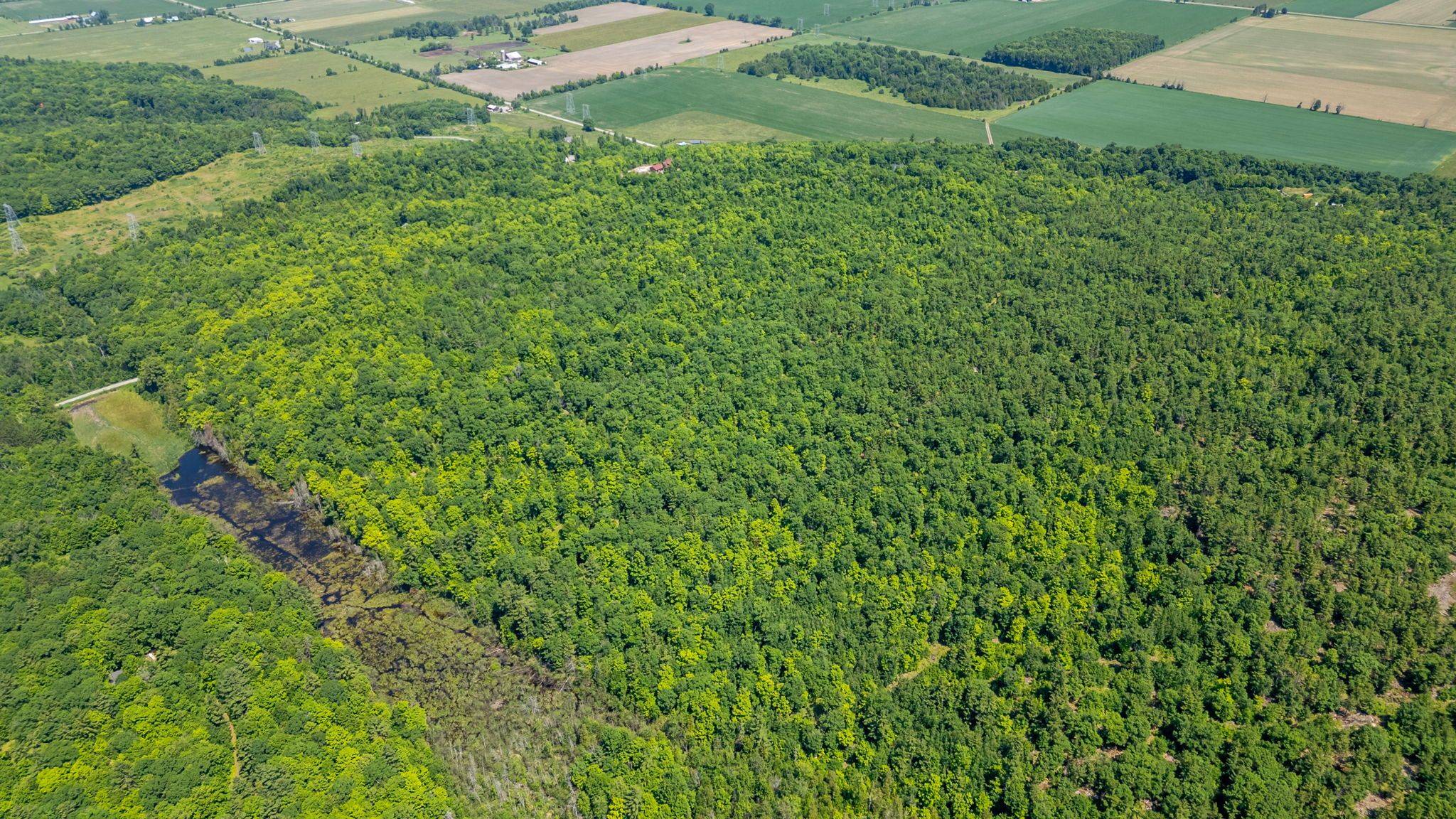 Mississippi Mills, ON K0A 2X0,0 Carbine RD