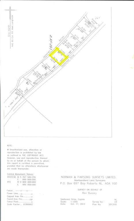 Cupids, NL A0A2B0,151 - 153 Seaforest Drive