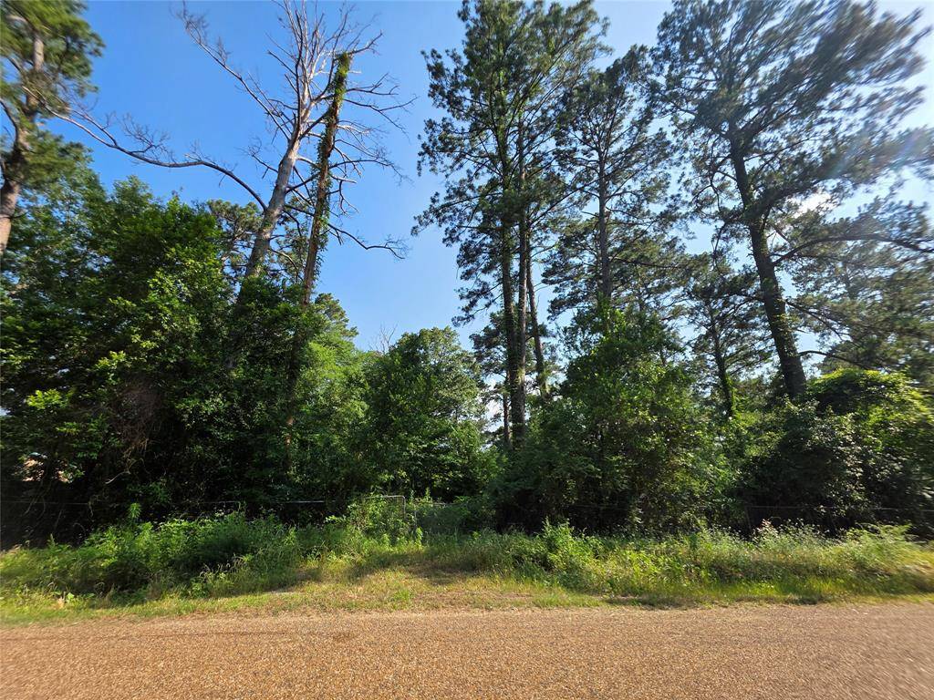 Chandler, TX 75758,20812 Clinton