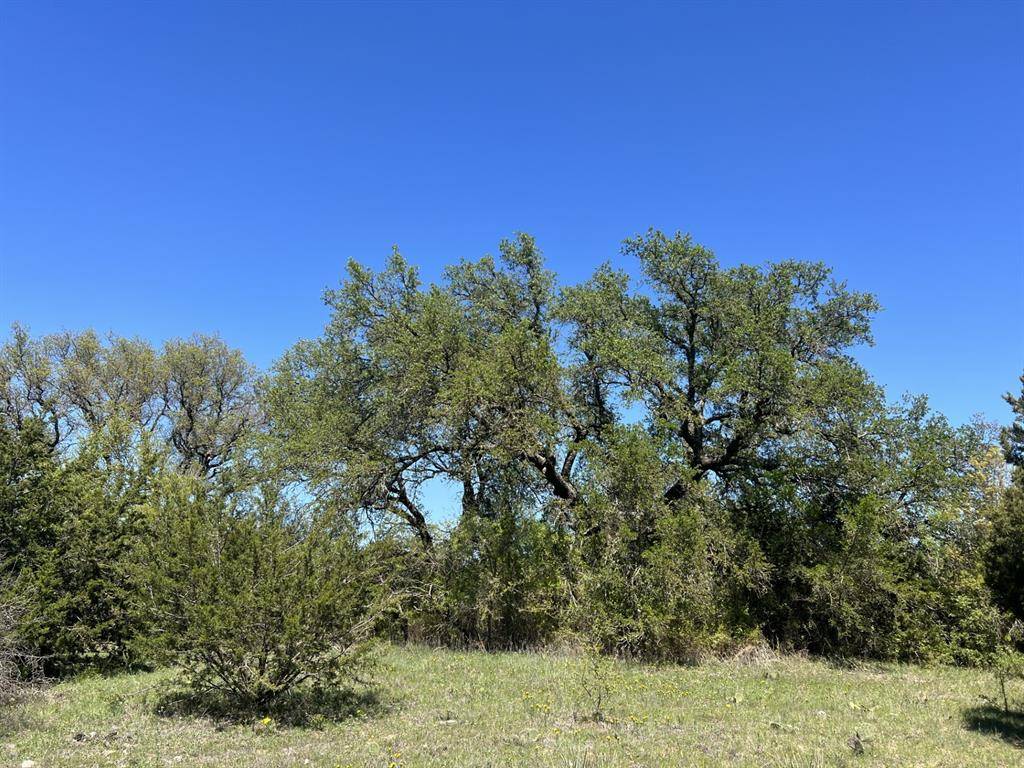 Cross Plains, TX 76443,TBD CR 434