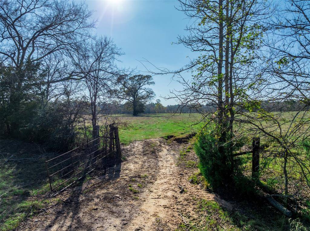 Palestine, TX 75801,0 An County Road 153