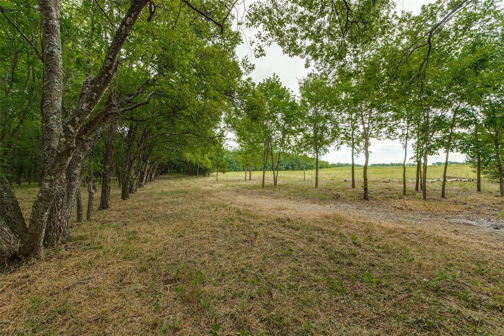 3805 County Road 3805, Wolfe City, TX 75496
