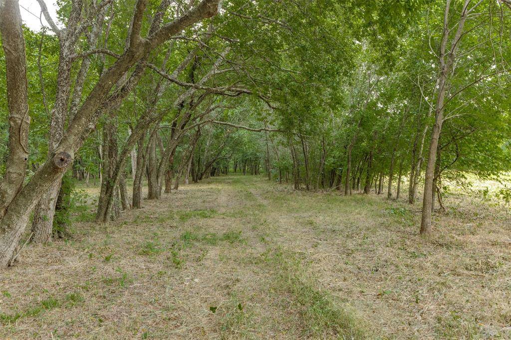 3805 County Road 3805, Wolfe City, TX 75496