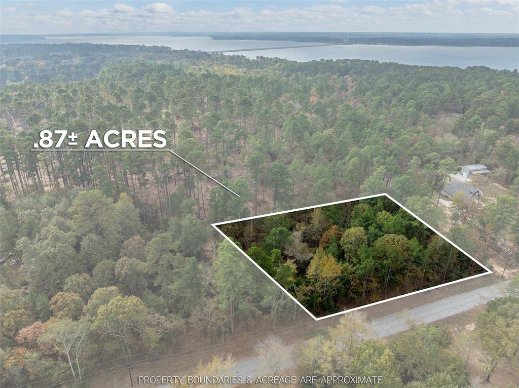 Flint, TX 75762,0 Pintail