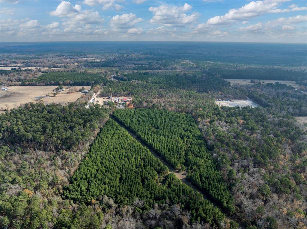 Marshall, TX 75672,TBD Tom Woodley Rd