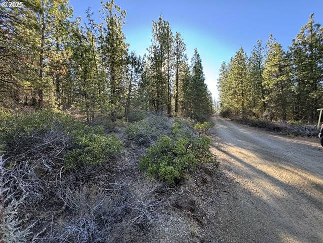 Bonanza, OR 97623,Golden Eagle DR #31