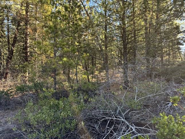 Bonanza, OR 97623,Golden Eagle DR #31