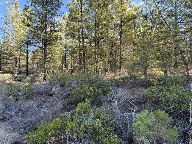 Bonanza, OR 97623,Golden Eagle DR #31